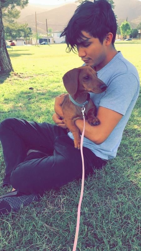Lost Dog in El Paso, Texas — listing photo
