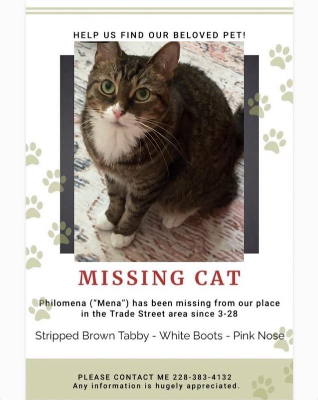 Lost Cat in Charlotte, North Carolina — listing photo