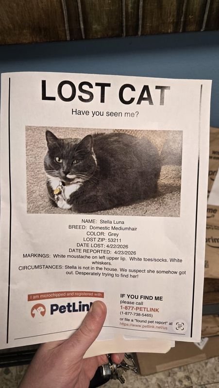 Lost Cat in Milwaukee, Wisconsin — listing photo