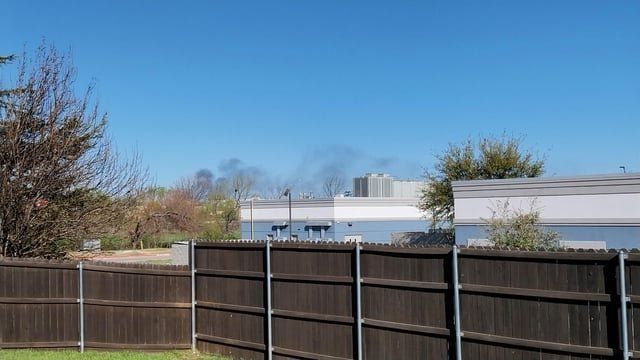 Found Dog in Fort Worth, Texas — Large Explosion S.W Fort Worth