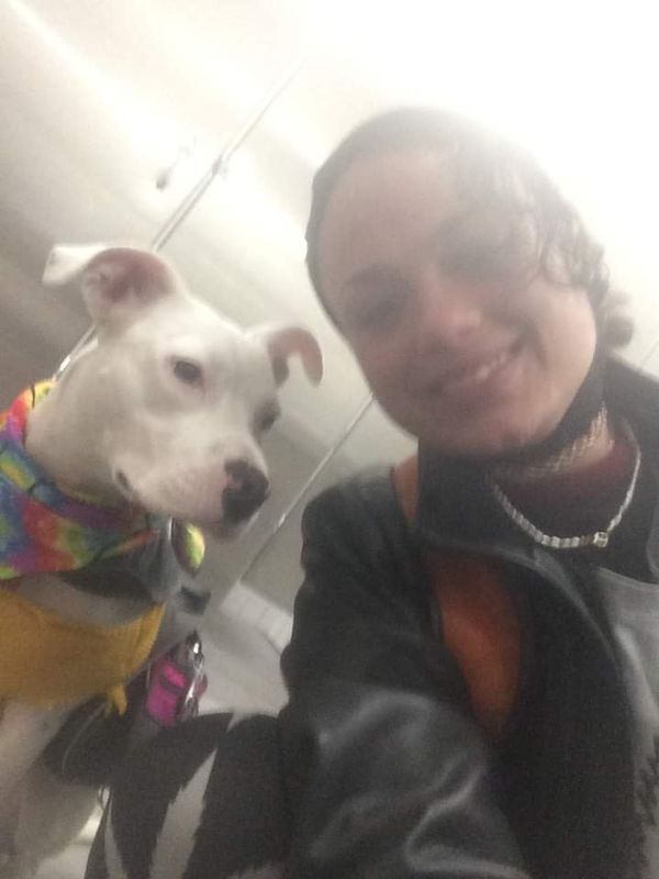 Lost Dog in Northglenn, Colorado — listing photo