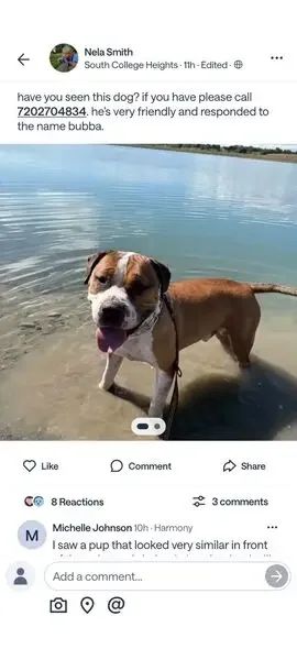 Found Dog in Sunnyvale, California — listing photo