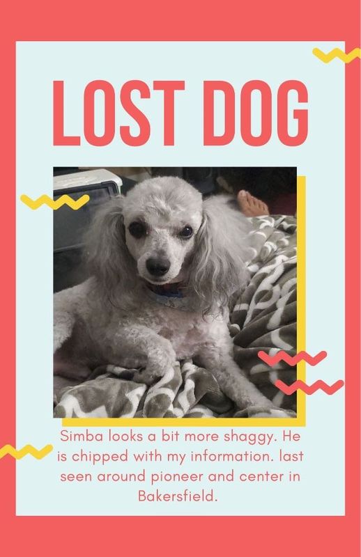 Lost Dog in Bakersfield, California — listing photo