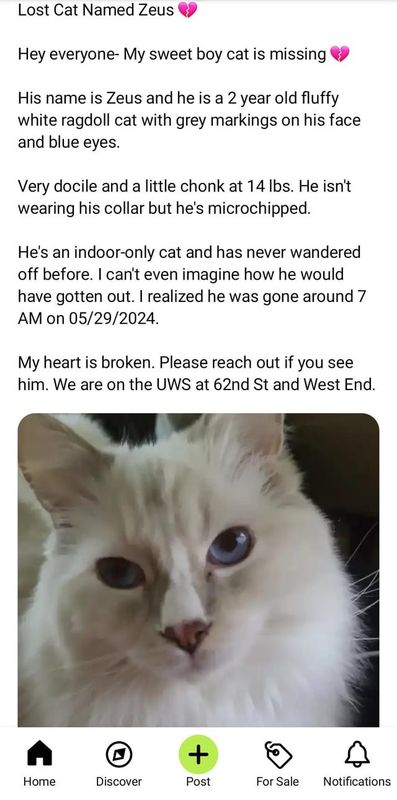 Lost Cat in New York, New York — Missing: White Ragdoll Cat on Upper West Side