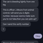 Lost Cat in K — Potential Scammer