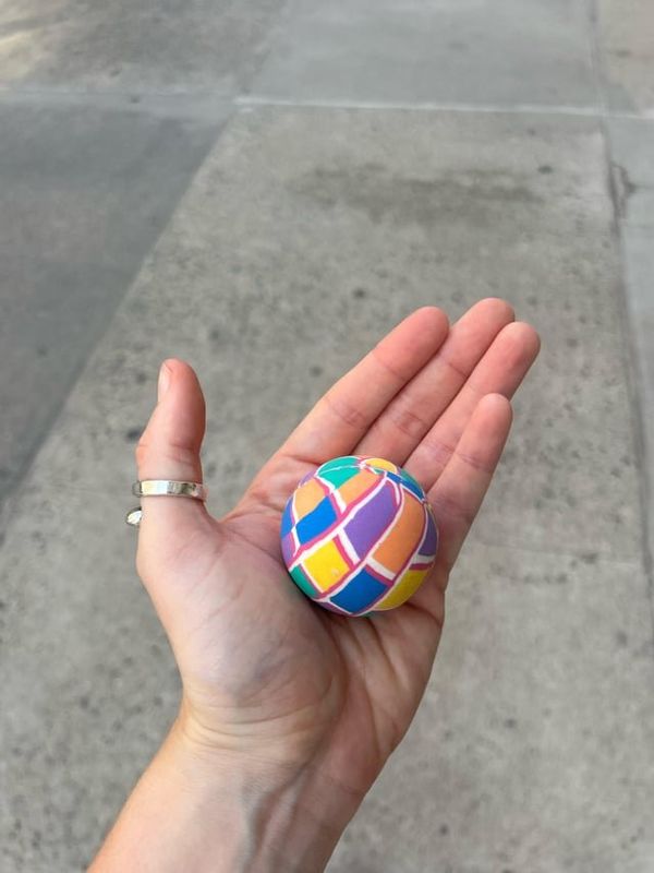 Lost Dog in New York, New York — 2 dogs & a Rainbow ball in Central Park