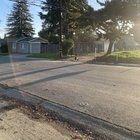 Lost Dog in Sacramento, California — listing photo
