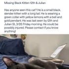 Lost Cat in San Jose, California — looking for missing cat in 12th and Julian