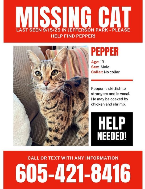 Lost Cat in Jefferson — listing photo