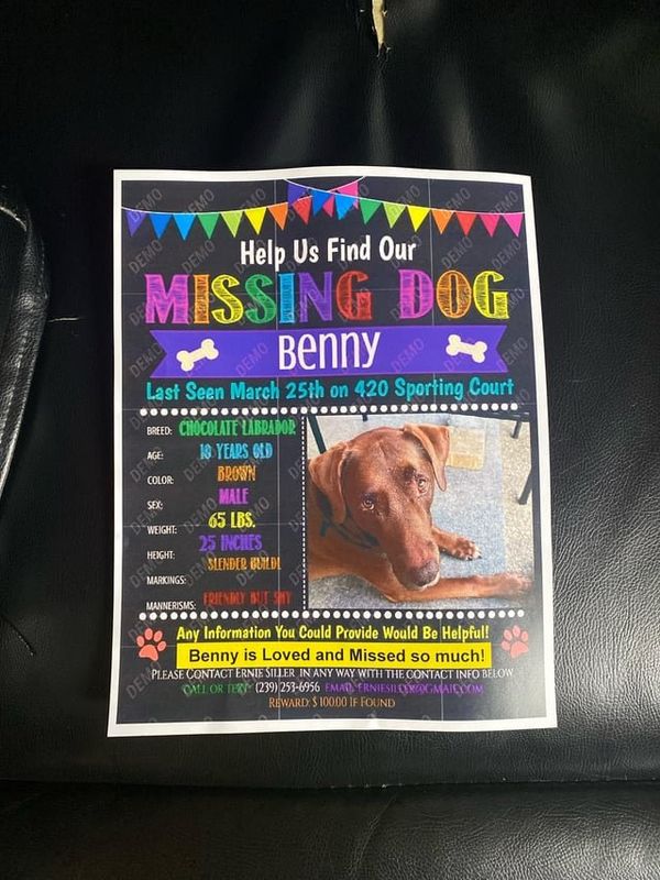 Lost Dog in Wellington, Florida — listing photo