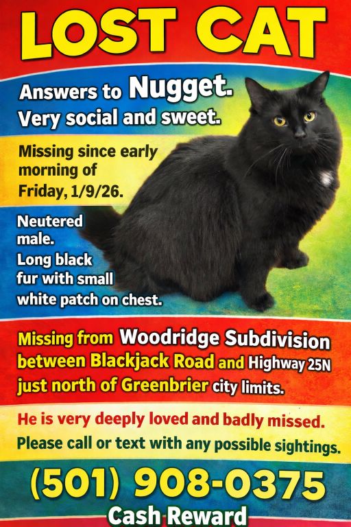 Lost Cat in Greenbrier — listing photo