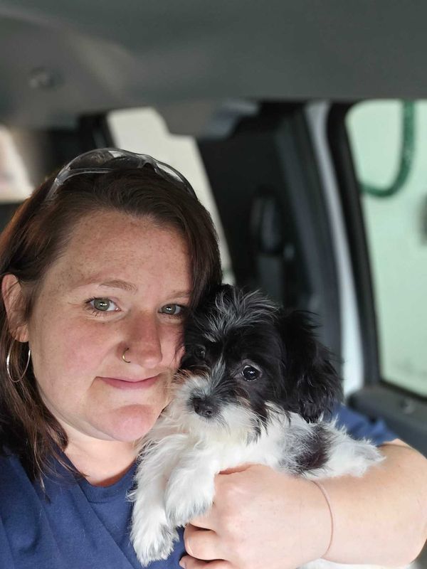 Lost Dog in Old walhalla highway — listing photo