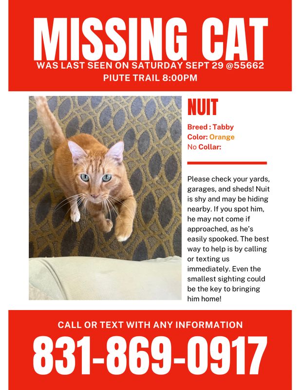 Lost Cat in Yucca Valley — listing photo