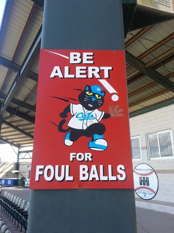 Lost Cat in Fort Worth, Texas — I miss games at LaGrave Field with the Cats