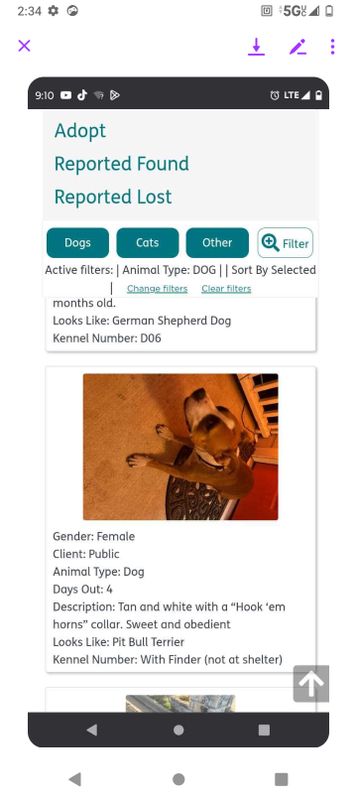 Lost Dog in Austin, Texas — listing photo