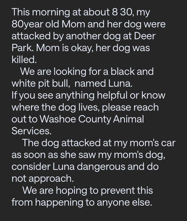 Lost Dog in Reno, Nevada — LEASH YOUR FUCKING DOGS ASSHOLES!!!