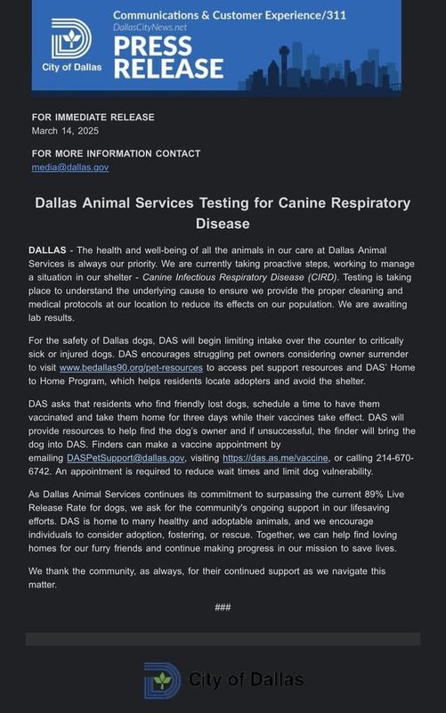 Found Dog in Dallas, Texas — DAS limiting intake of strays because of CIRD just be aware with upcoming storms and more loose dogs!
