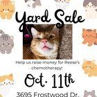 Found Cat in Dayton, Ohio — Reese’s Chemotherapy Fund: Beavercreek Yard Sale