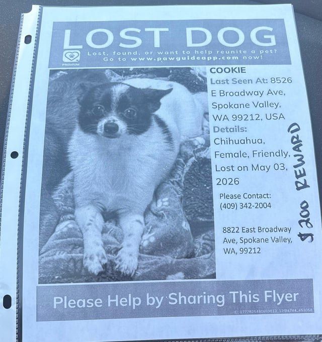 Lost Dog in Spokane, Washington — Help find missing dog