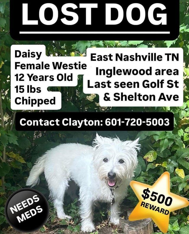 Lost Dog in Nashville, Tennessee — listing photo