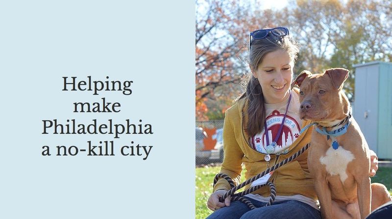 Found Pet in Philadelphia, Pennsylvania — things you can do if: you see a deceased cat or dog outside, you need low cost vet…