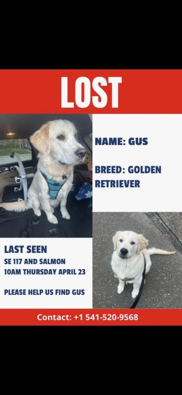 Lost Dog in Portland, Oregon — listing photo