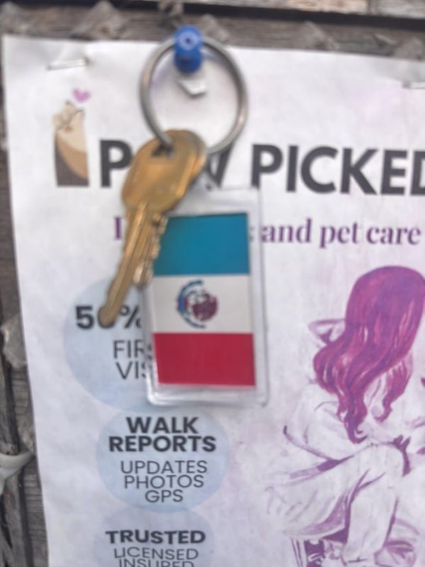 Found Dog in Long Beach, California — Keys found at Dog Park
