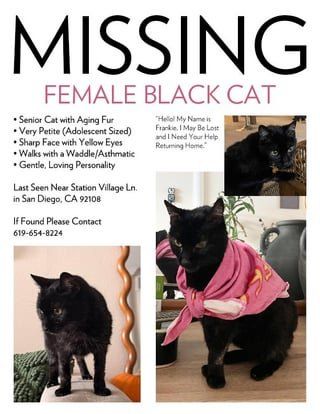 Lost Cat in San Diego, California — listing photo