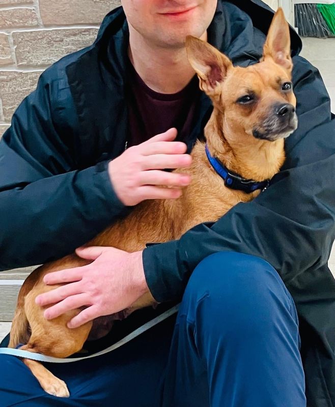 Lost Dog in Pittsburgh, Pennsylvania — listing photo