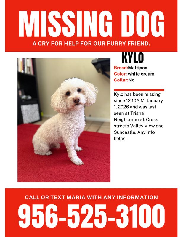 Lost Dog in Enterprise — listing photo