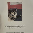 Lost Pet in Champaign, Illinois — listing photo