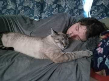 Lost Cat in Portland, Maine — listing photo