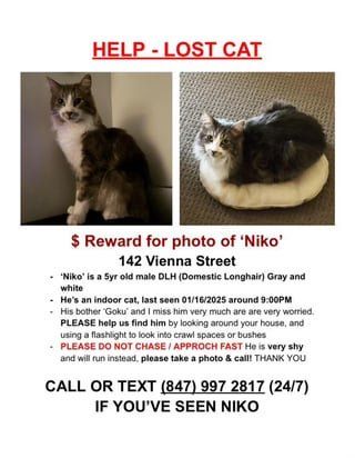 Lost Cat in San Francisco, California — listing photo