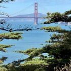 Lost Dog in San Francisco, California — Land's End today 🤩❤️