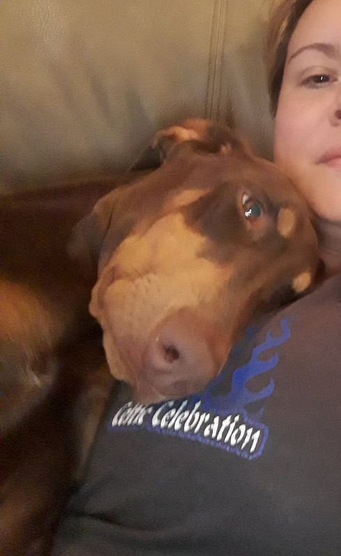 Lost Dog in Horizon City — listing photo