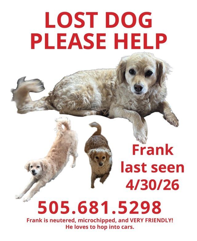Lost Pet in Albuquerque, New Mexico — Frank is still missing have you seen him?