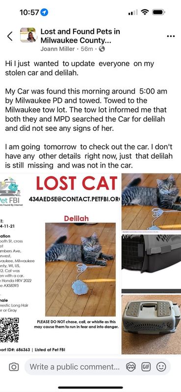 Found Cat in K — Update from the owner on Facebook. Car found today but no signs of the cat 😔