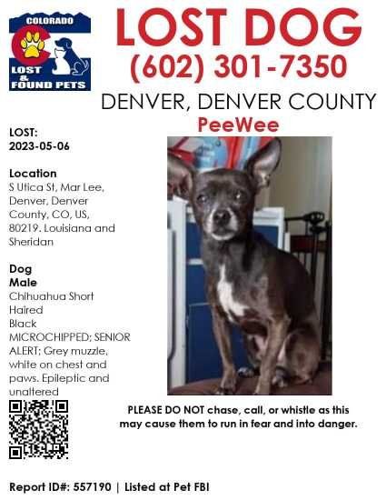 Lost Dog in Denver, Colorado — listing photo
