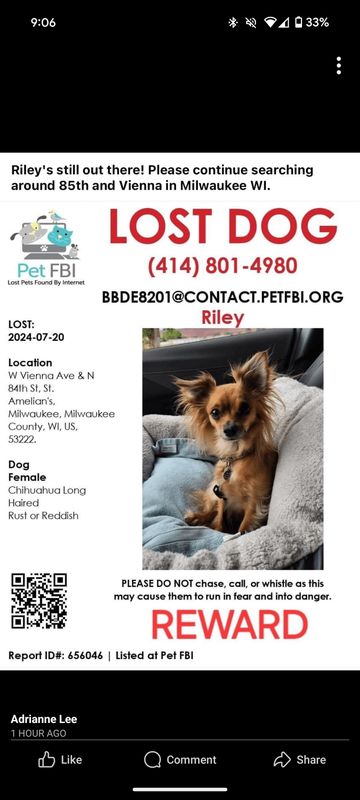 Lost Dog in K — listing photo