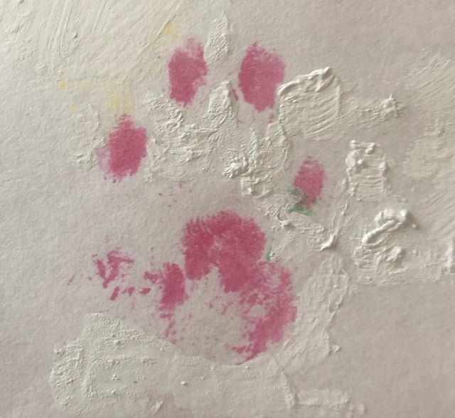 Lost Pet in K — Pawprint Tattoo Artist Recs