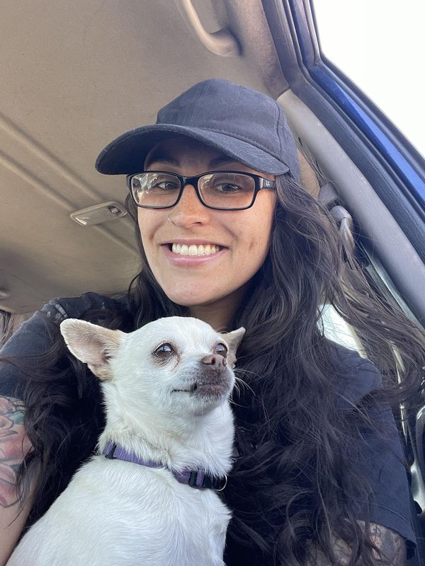 Lost Dog in Aurora, Colorado — listing photo