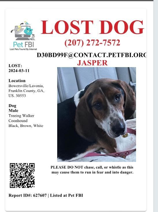 Lost Dog in Lavonia — listing photo