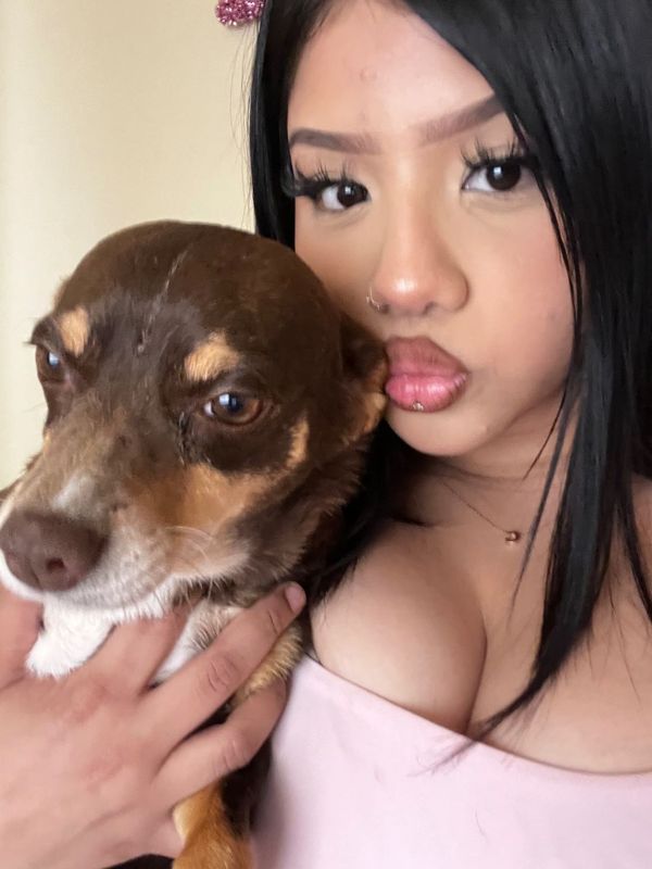 Lost Dog in Avondale, Arizona — listing photo
