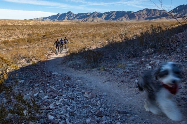 Lost Dog in El Paso, Texas — New $1,200 El Paso Water fee for events at Lost Dog is excessive, groups say