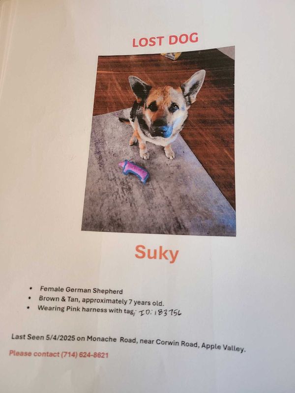 Lost Dog in Apple Valley, Minnesota — listing photo