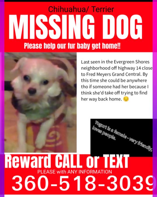 Lost Dog in Vancouver, Washington — listing photo