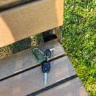Found Dog in Bellingham, Washington — listing photo