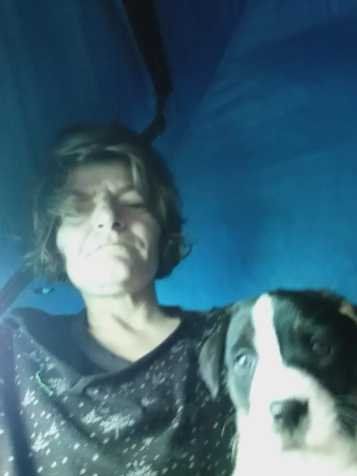 Lost Dog in Oklahoma City, Oklahoma — listing photo