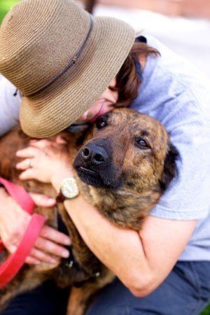 Found Pet in Tucson, Arizona — Weekly Lost & Found Pets Post - August 14, 2017