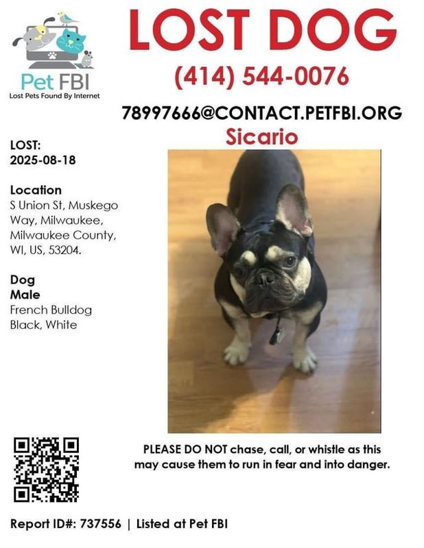 Lost Dog in Milwaukee, Wisconsin — listing photo